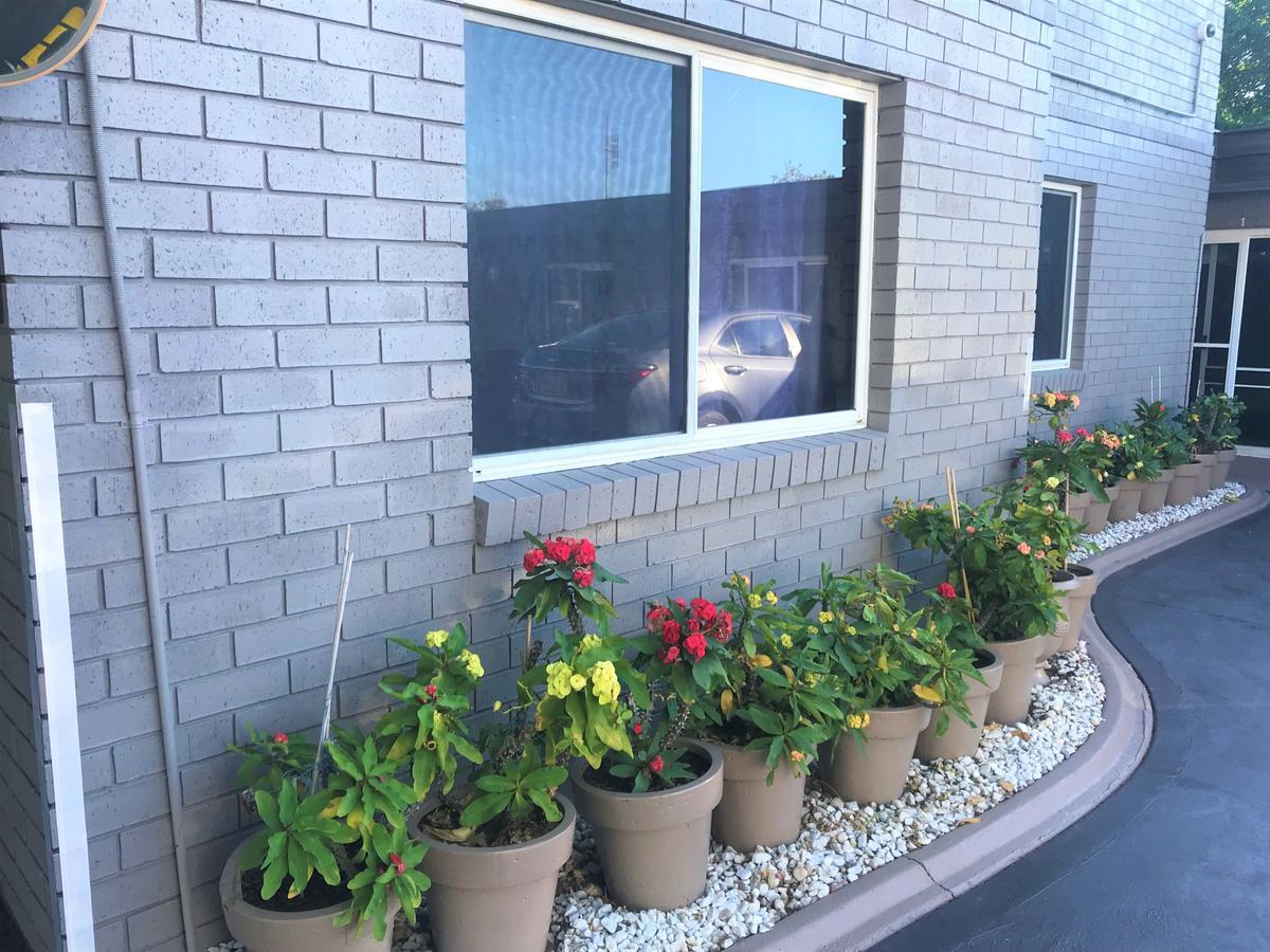 Toukley Motor Inn Dış mekan fotoğraf
